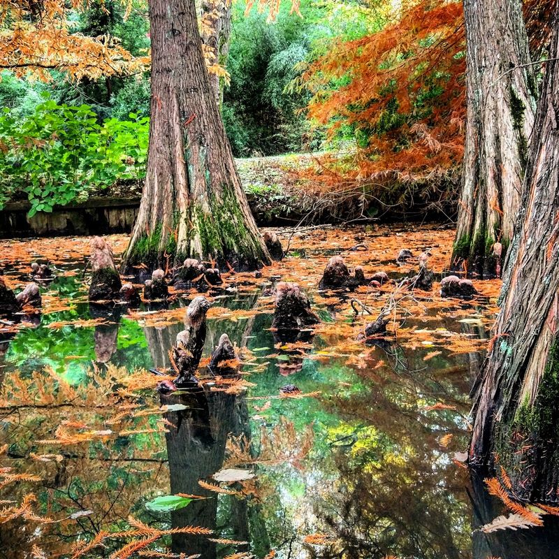 Atatürk Arboretumu - 3
