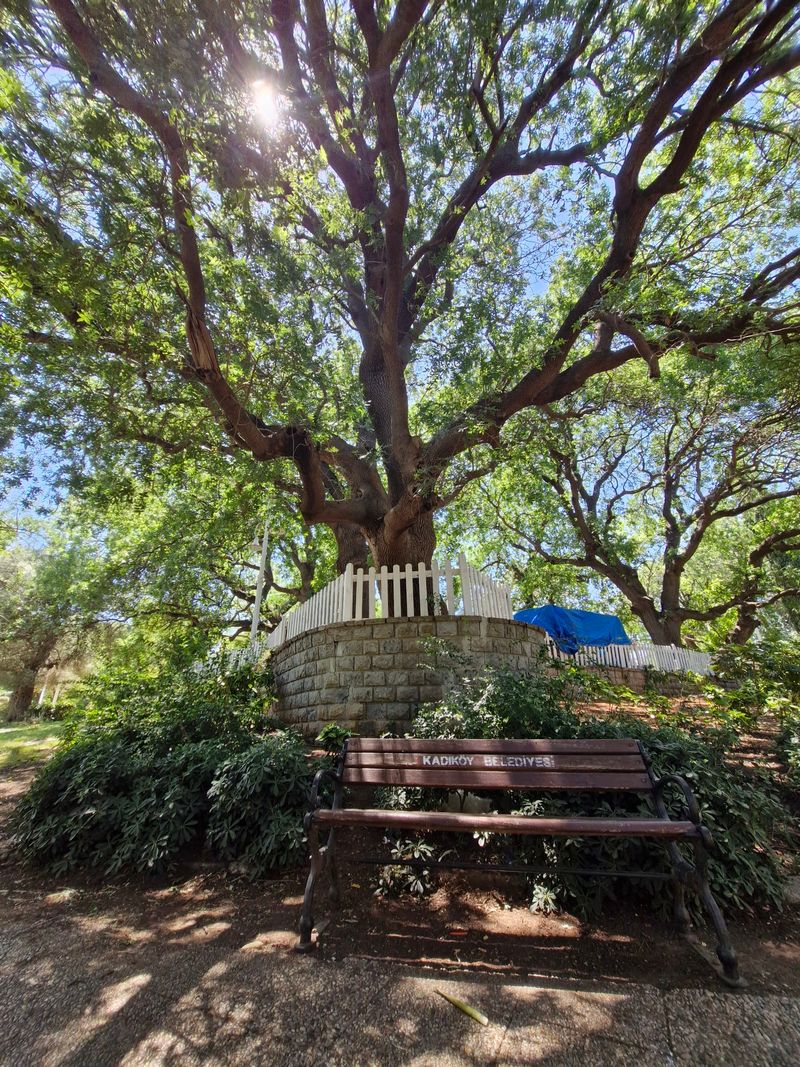 Fenerbahçe Parkı - 3