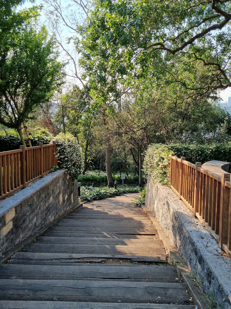 Fethi Paşa Korusu - 3